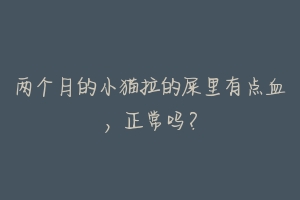 两个月的小猫拉的屎里有点血，正常吗？-动物百科