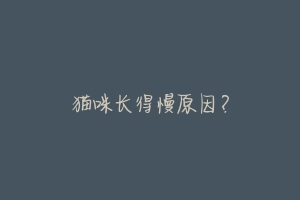 猫咪长得慢原因？-动物百科