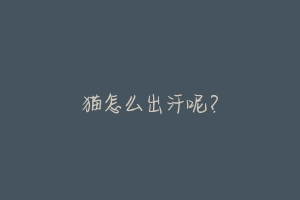 猫怎么出汗呢？-动物百科