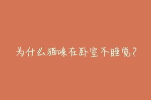 为什么猫咪在卧室不睡觉?-动物百科