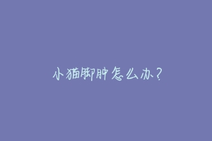 小猫脚肿怎么办?-动物百科