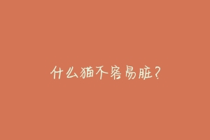 什么猫不容易脏?-动物百科