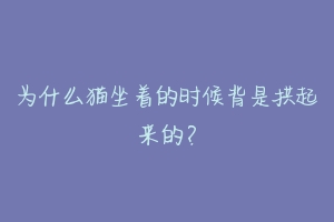 为什么猫坐着的时候背是拱起来的?-动物百科