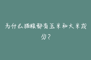 为什么猫粮都有玉米和大米成分?-动物百科