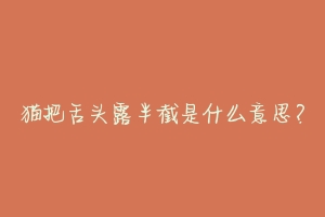 猫把舌头露半截是什么意思？-动物百科