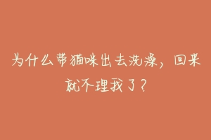 为什么带猫咪出去洗澡，回来就不理我了？-动物百科