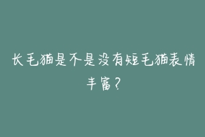 长毛猫是不是没有短毛猫表情丰富？-动物百科