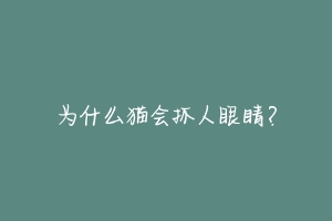 为什么猫会抓人眼睛?-动物百科