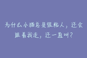 为什么小猫总是很粘人,还会跟着我走,还一直叫?-动物百科