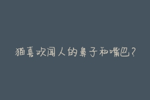 猫喜欢闻人的鼻子和嘴巴?-动物百科