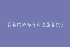 白色的猫为什么是蓝色的?-动物百科