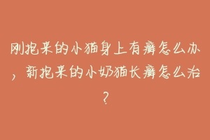 刚抱来的小猫身上有癣怎么办,新抱来的小奶猫长癣怎么治?-动物百科
