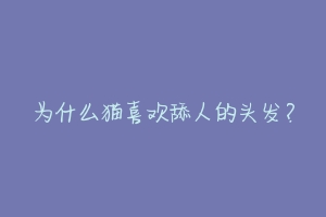为什么猫喜欢舔人的头发?-动物百科