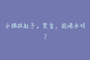 小猫拉肚子。禁食,能喂水吗?-动物百科
