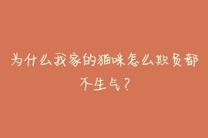 为什么我家的猫咪怎么欺负都不生气？-动物百科