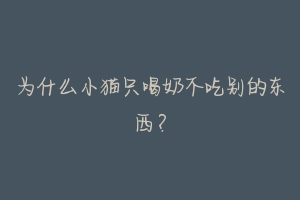 为什么小猫只喝奶不吃别的东西？-动物百科