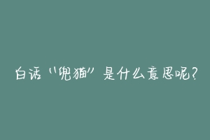 白话“兜猫”是什么意思呢？-动物百科