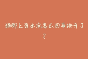 猫脚上有水泡怎么回事挑开了？-动物百科