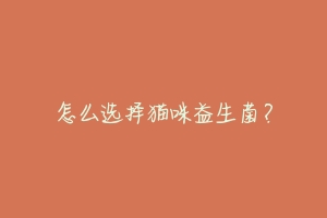 怎么选择猫咪益生菌？-动物百科