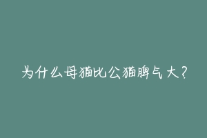为什么母猫比公猫脾气大？-动物百科