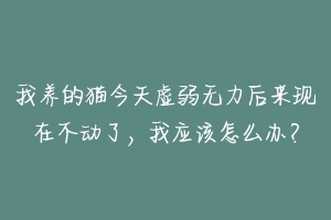 我养的猫今天虚弱无力后来现在不动了，我应该怎么办？-动物百科