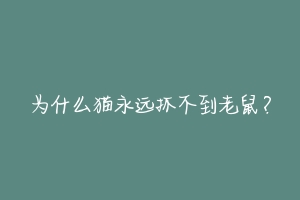 为什么猫永远抓不到老鼠？-动物百科