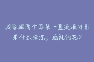 我家猫两个耳朵一直流液体出来什么情况，捣乱的死？-动物百科