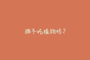 猫不吃植物吗?-动物百科