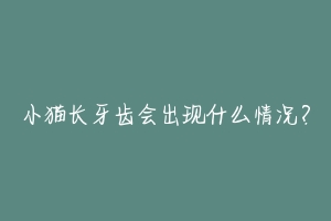小猫长牙齿会出现什么情况？-动物百科