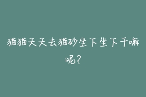 猫猫天天去猫砂坐下坐下干嘛呢?-动物百科