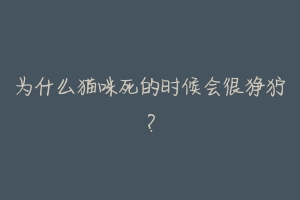 为什么猫咪死的时候会很狰狞?-动物百科