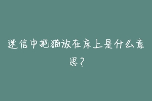 迷信中把猫放在床上是什么意思?-动物百科