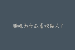 猫咪为什么喜欢黏人?-动物百科