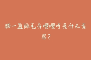 猫一直舔毛并嘤嘤哼是什么意思?-动物百科