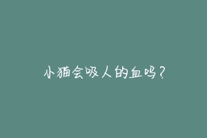 小猫会吸人的血吗?-动物百科