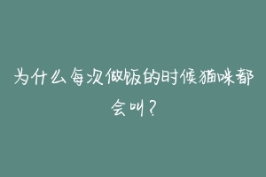 为什么每次做饭的时候猫咪都会叫?-动物百科