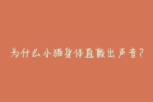 为什么小猫身体直颤出声音?-动物百科