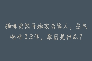 猫咪突然开始攻击家人,生气咆哮了3年,原因是什么?-动物百科