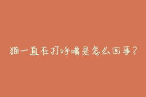 猫一直在打呼噜是怎么回事?-动物百科