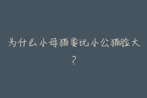 为什么小母猫要比小公猫脸大?-动物百科