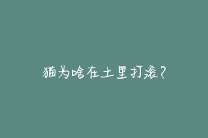 猫为啥在土里打滚?-动物百科