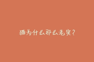 猫为什么那么老实?-动物百科