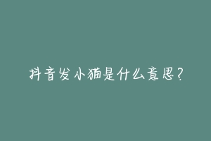 抖音发小猫是什么意思?-动物百科