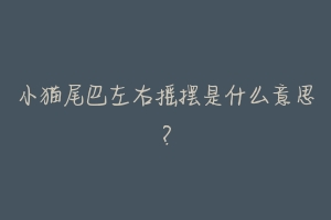 小猫尾巴左右摇摆是什么意思?-动物百科