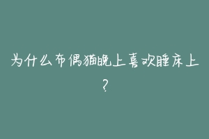 为什么布偶猫晚上喜欢睡床上?-动物百科