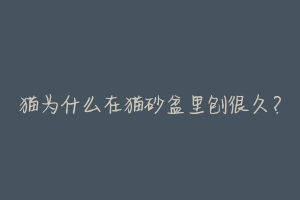 猫为什么在猫砂盆里刨很久?-动物百科
