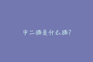 中二猫是什么猫?-动物百科