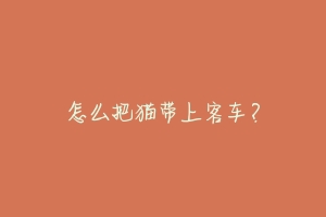 怎么把猫带上客车?-动物百科