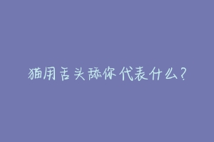 猫用舌头舔你代表什么?-动物百科