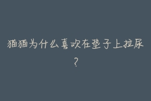 猫猫为什么喜欢在垫子上拉尿?-动物百科